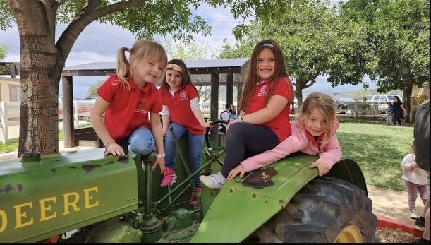 Transitional Kindergarten's Farm Adventure: Exploring Underwood Family Farms!